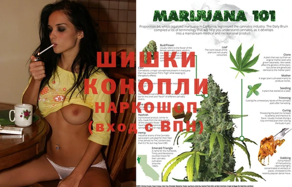 spice Пестово