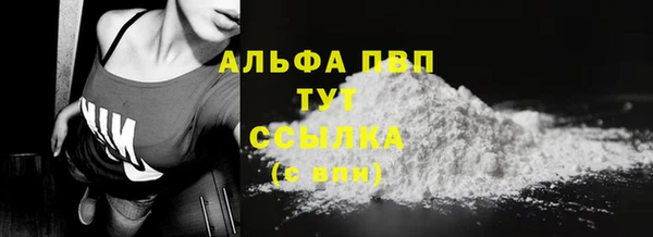 прущие грибы Пересвет