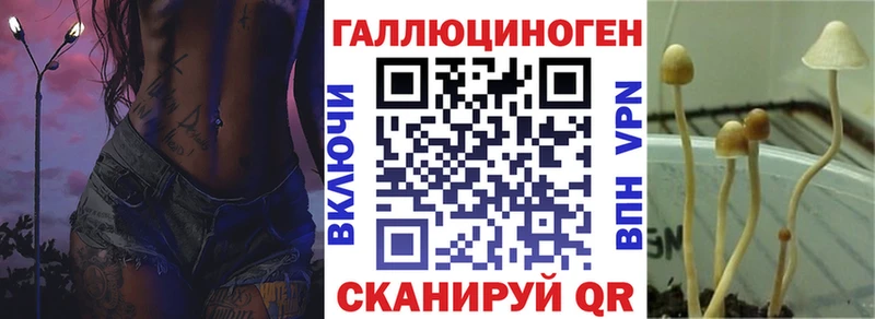 Купить где  Безенчук  Галлюциногенные грибы Cubensis 